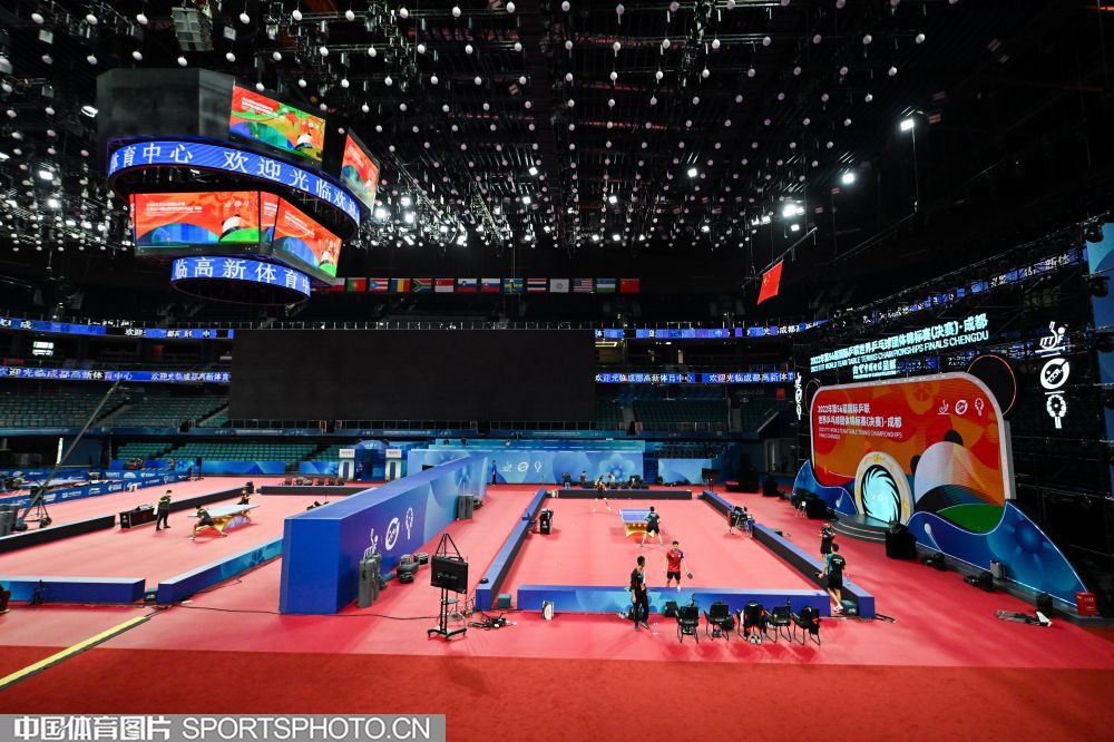 网球新秀表现观察