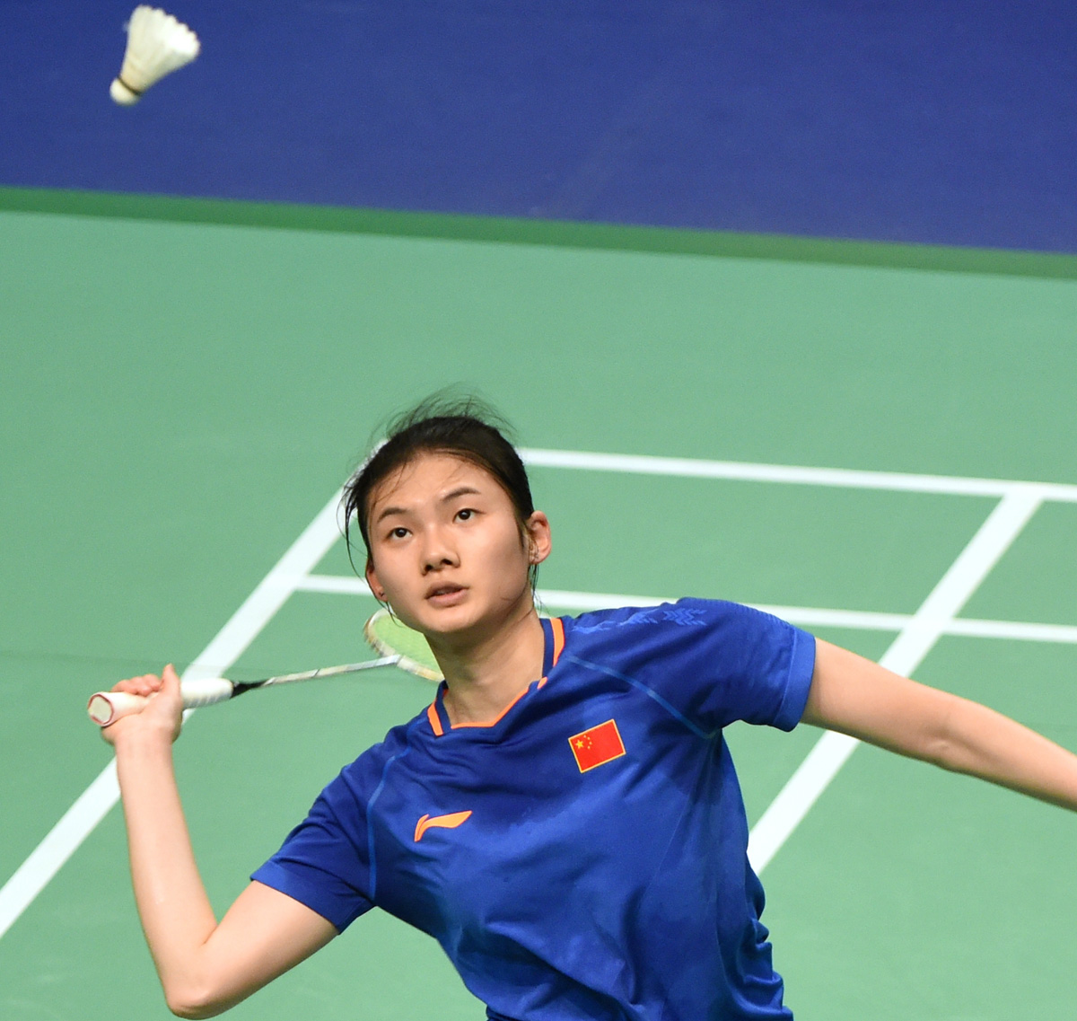 体系的基础 体系的基础