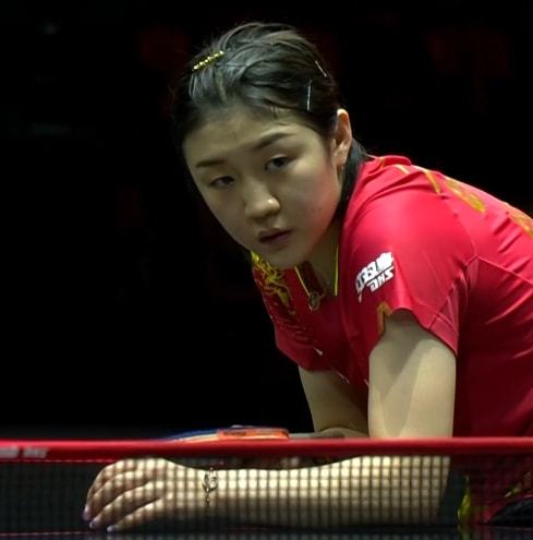 还为观众们 还为观众们